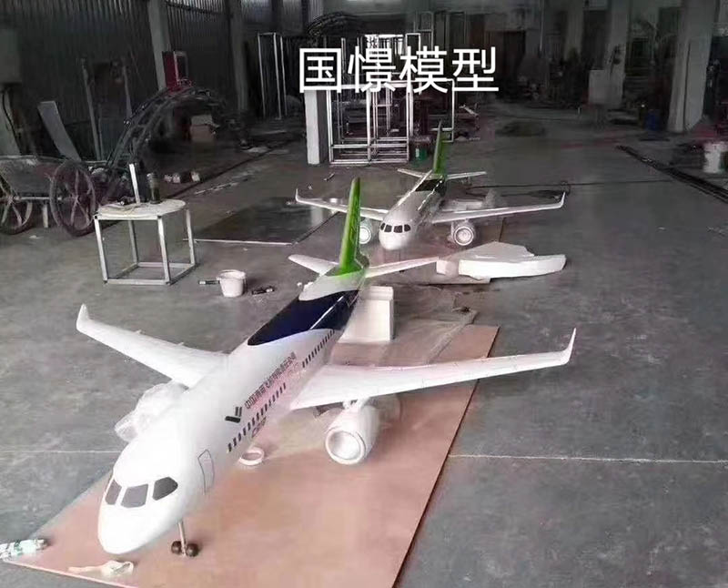 如东县飞机模型